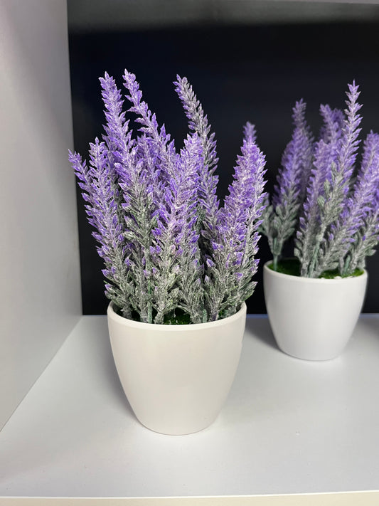 Fake Lavender Plant